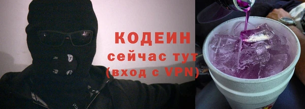 ГАЛЛЮЦИНОГЕННЫЕ ГРИБЫ Костерёво