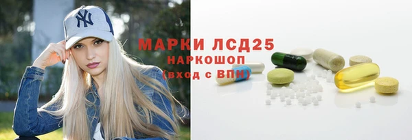 ГАЛЛЮЦИНОГЕННЫЕ ГРИБЫ Костерёво