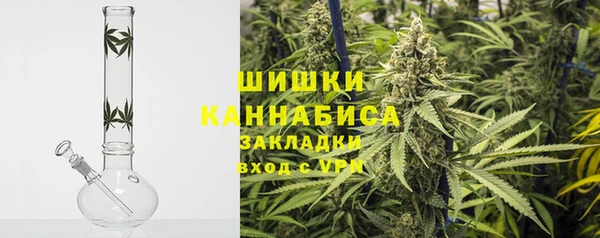 ГАЛЛЮЦИНОГЕННЫЕ ГРИБЫ Костерёво